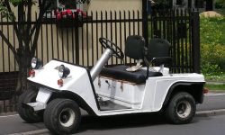 Melex 252