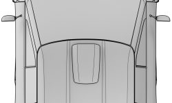 L-type patent