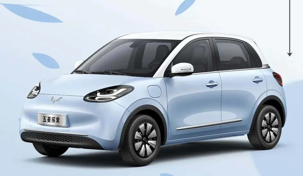 Wuling Bingo