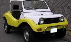 Daihatsu Fellow Buggy