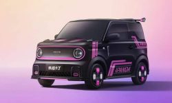 Geely Panda Mini EV Go Kart Edition